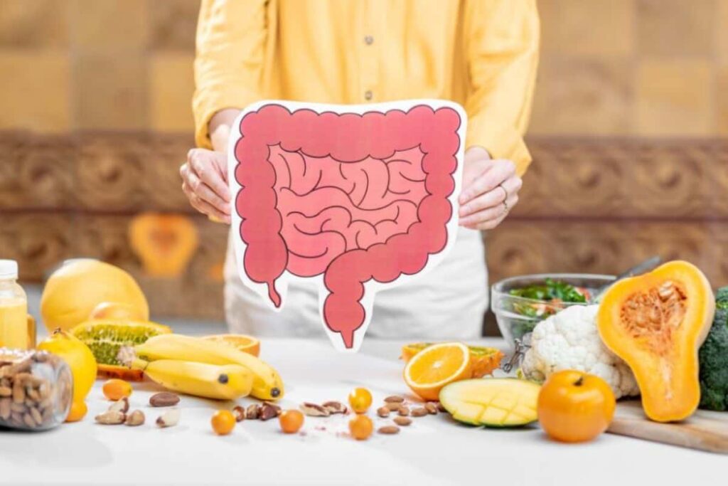 microbiota intestino salud dieta inflamacion